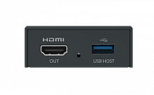 Magewell Pro Convert NDI to HDMI купить