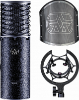 Студийный микрофон Aston Microphones SPIRIT BLACK BUNDLE купить
